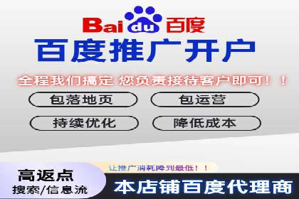百度SEO推广策略案例：一家公司的成功转型之路
